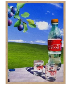 Poster Raiul Romanesc Windows XP